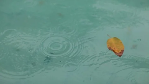 Raindrops falling on the surface of a blue pool, close up Video stock 104467462