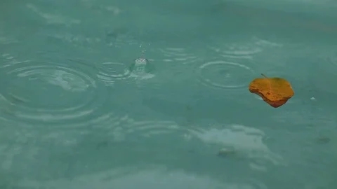Raindrops falling on the surface of a blue pool, close up Stock Footage 104467463