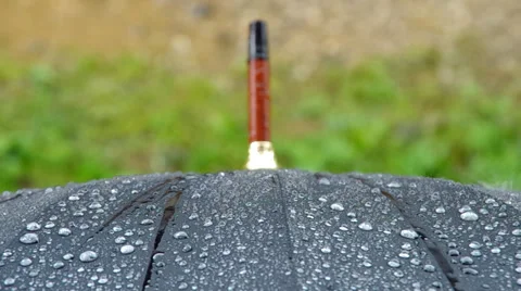 Raindrops falling on an umbrella Stock Footage 38977275