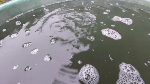 Raindrops falling into a water butt barrel creating ripples and bubbles close up Stock Footage 335395272