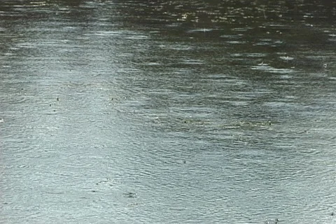 Raindrops Falling on Water in Florida Everglades Stock Footage 121342294