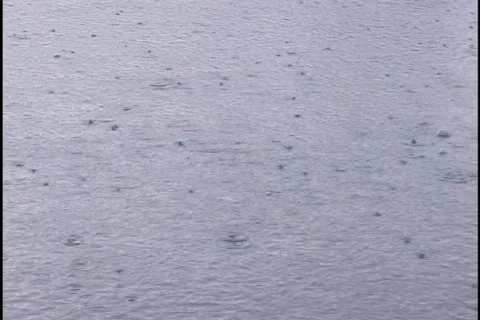 Raindrops Falling on Water Stock Footage 298246