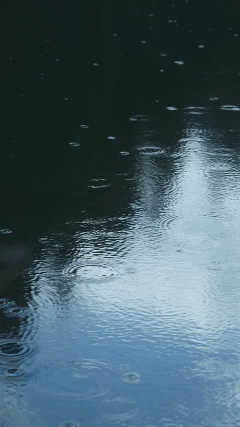 Raindrops falling on water surface creating circular ripples during rainy day Stock Footage 330769170