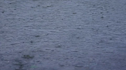 Raindrops falling on water surface creating ripples and splashes 動画素材 341930202