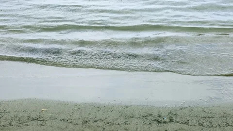 Raindrops falling on water surface at shoreline with ripples and small waves Video stock 317483743