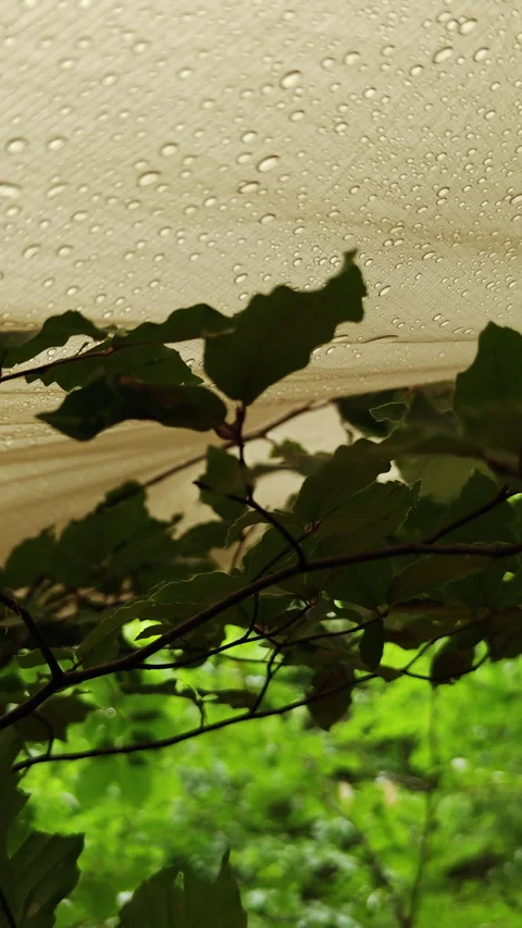 Raindrops Falling On Waterproof Camping Tarp In Green Forest Stock Footage 340641571
