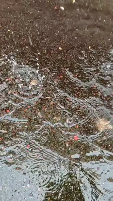 Raindrops falling on wet asphalt road surface Stock Footage 318281748