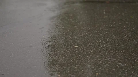 Raindrops falling on wet asphalt surface Stock Footage 346644412