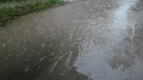 Raindrops Falling on Wet Concrete Surface During Rain Stock Footage 312891907