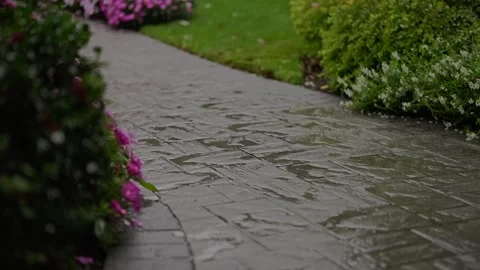 Raindrops falling on a wet stone garden Stock Footage 346644332