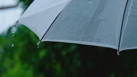 Raindrops falling on white umbrella Stock Footage 162941501