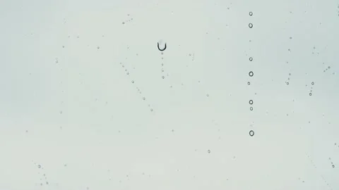 Raindrops falling on the window. Stock Footage 164731741