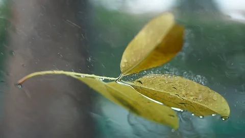 Raindrops falling on windscreen Stock Footage 129437164