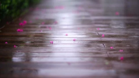 Raindrops Falling on a Wooden Deck Surface in a Calming Rainy Day Scene Stock Footage 341870781