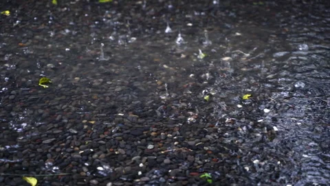 Raindrops fell on the ground between pebble. 4K Footage Stock Footage 305856507