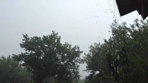 Raindrops Flow Down From the Roof during rain, gray sky and Green Trees Stock Footage 167891077