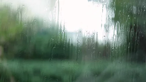 Raindrops Flow Down The Window, Greenery Blurred Background, Close-Up Shot Stock Footage 292316086