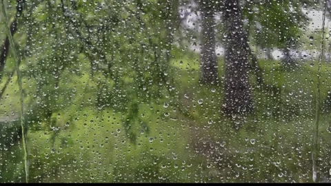 Raindrops flow down the window. View of the forest. Slow motion video. Stock-Footage 301694011
