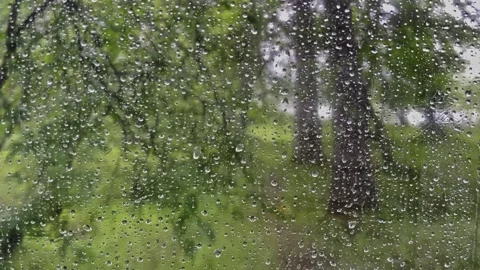 Raindrops flow down the window. View of the forest. Slow motion video Stock-Footage 303359780