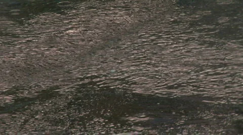 Raindrops Stock Footage 594043