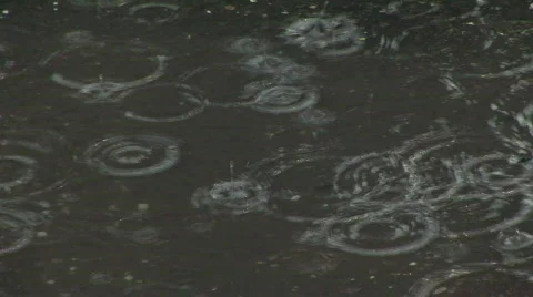 Raindrops Stock Footage 594050