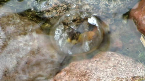 Raindrops Stock Footage 703853