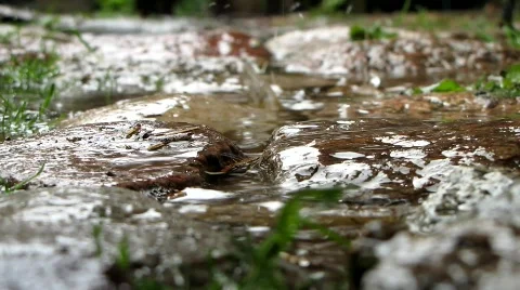 Raindrops Stock-Footage 703878