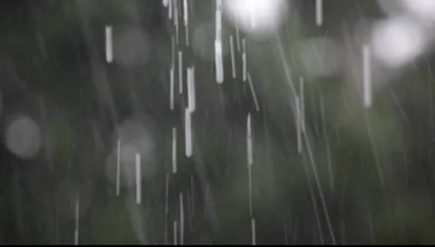 Raindrops Stock-Footage 8554476