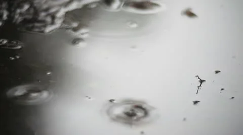 Raindrops 動画素材 10684839