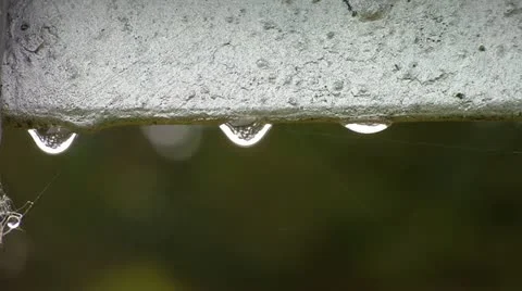 Raindrops Stock-Footage 11152786