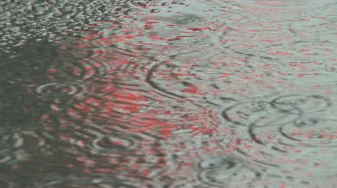 Raindrops Stock Footage 11710738