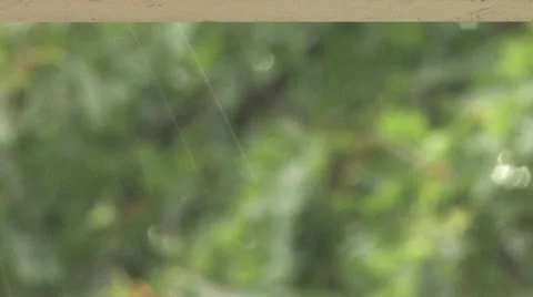 Raindrops Stock Footage 11710777