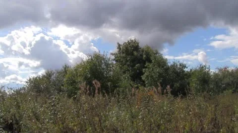 Raindrops Vídeo Stock 11956235