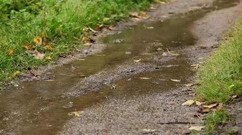 Raindrops Stock Footage 12241097