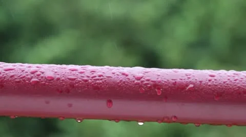 Raindrops 動画素材 21329493