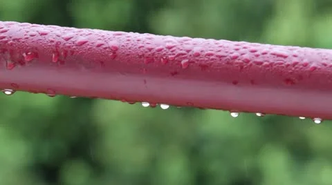 Raindrops Video stock 21329506