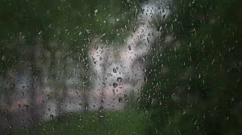 Raindrops Vídeo Stock 23518225