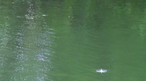 Raindrops Stock-Footage 25855961