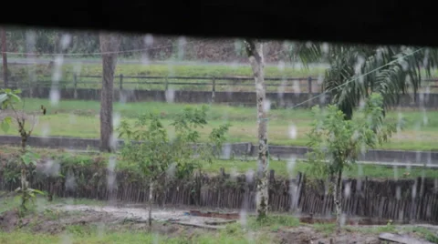 Raindrops Stock Footage 32283972