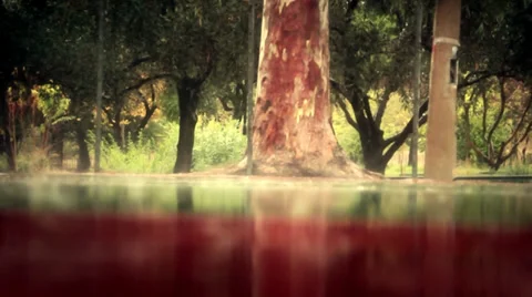 Raindrops. Stock Footage 32542643