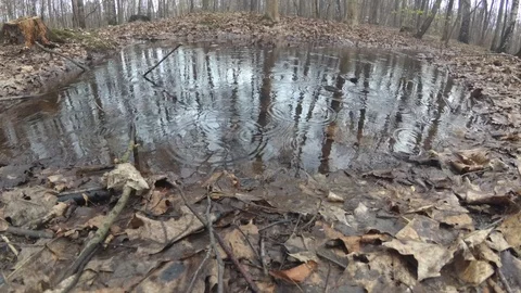 Raindrops Video stock 88954169