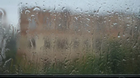 Raindrops on the Stock Footage 96392346