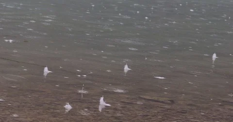 Raindrops Stock Footage 99140859