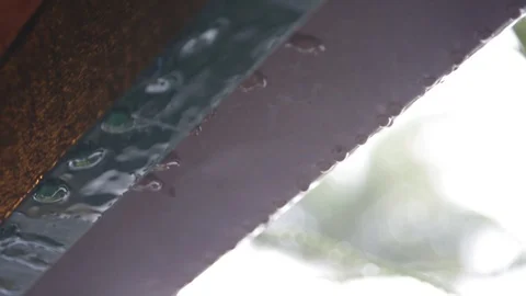 Raindrops Stock Footage 105218687