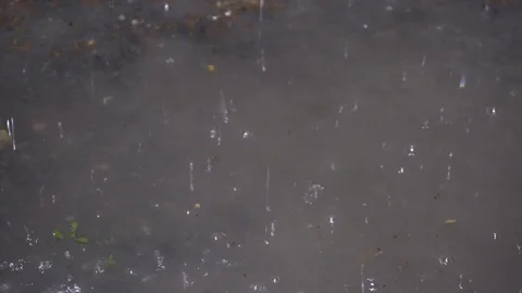 Raindrops Stock Footage 109438797