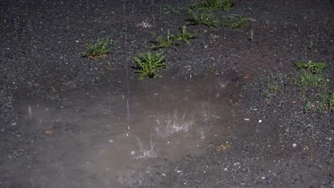 Raindrops Video stock 109438802