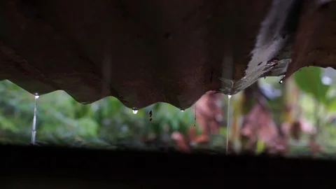 Raindrops Stock Footage 112605926