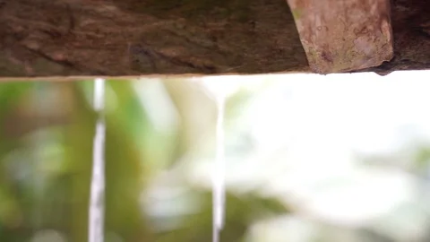 Raindrops Stock Footage 112606250