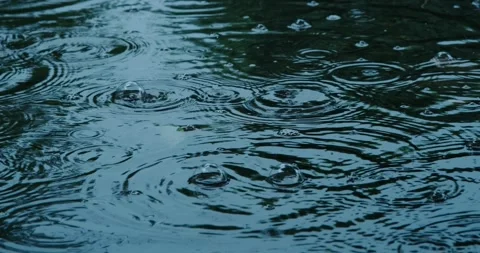 Raindrops Stock Footage 140234394
