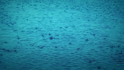 Raindrops Video stock 142460023